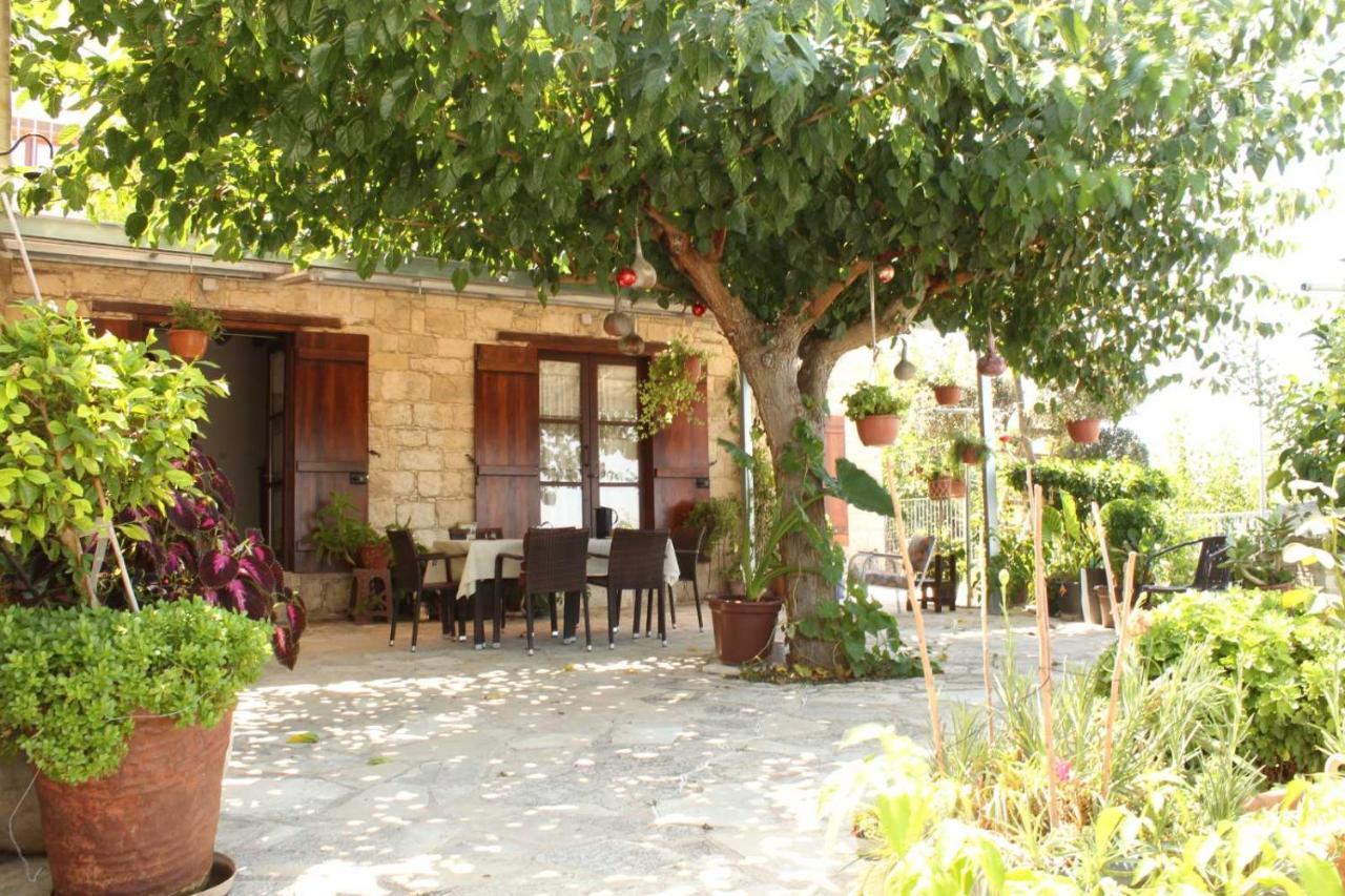 Georgia'S House Bed & Breakfast Fyti Dış mekan fotoğraf